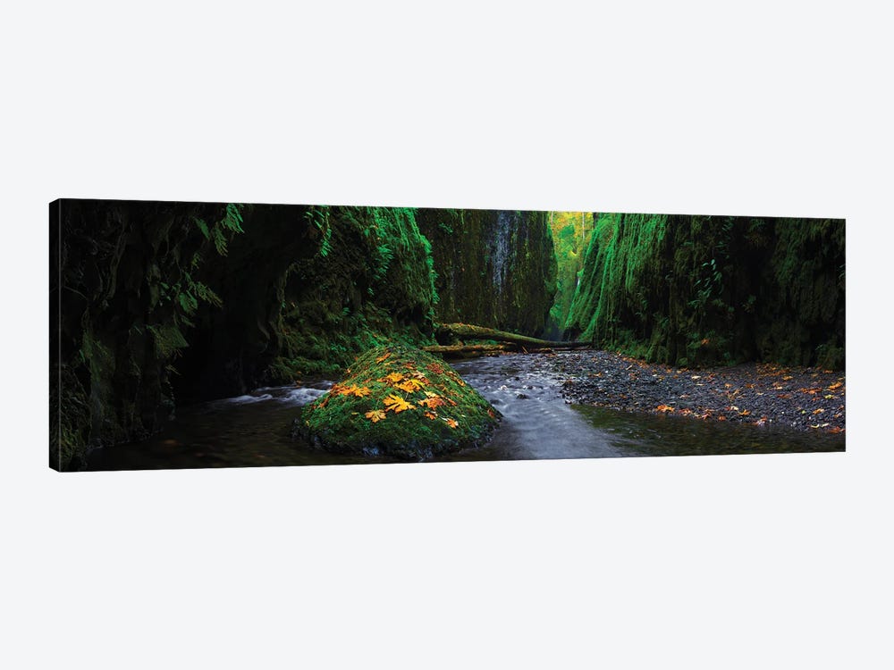 Fall In The Gorge by Dustin LeFevre 1-piece Canvas Art Print