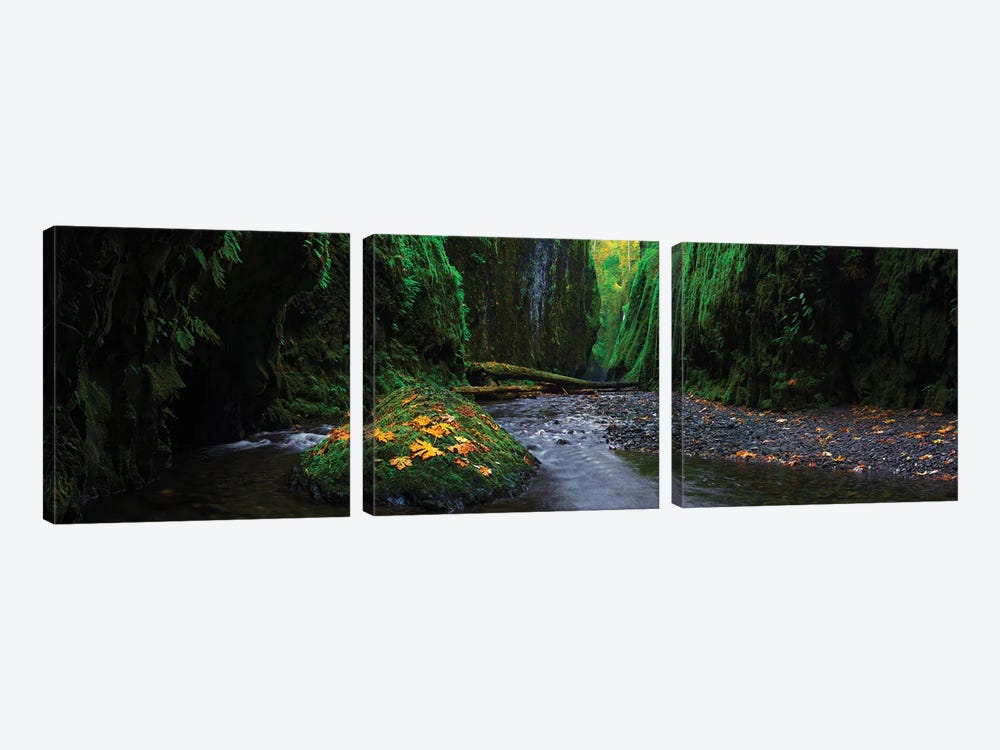 Fall In The Gorge by Dustin LeFevre 3-piece Art Print