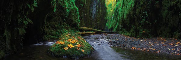 Oregon: Fall In The Gorge by Dustin LeFevre