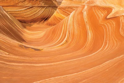 Wave by Dustin LeFevre art print