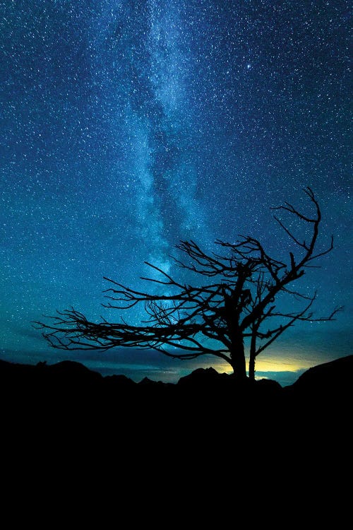 Wind Swept by Dustin LeFevre wall art
