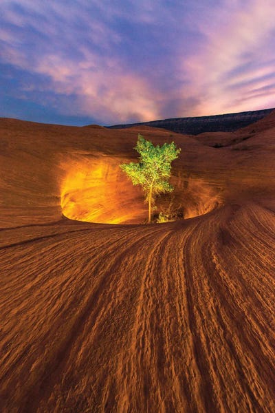 Utah: Inner Light by Dustin LeFevre