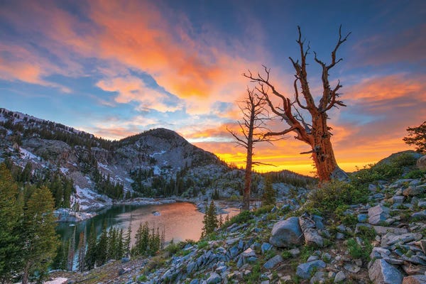 Dustin LeFevre: Lake Mary Sunset by Dustin LeFevre
