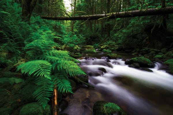 Washington: Essence Of The Northwest by Dustin LeFevre