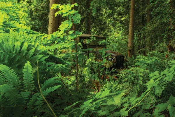 Dustin LeFevre: Rusting Away by Dustin LeFevre