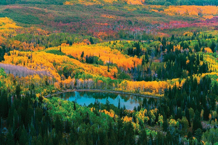 Fall Of The Wasatch by Dustin LeFevre wall art