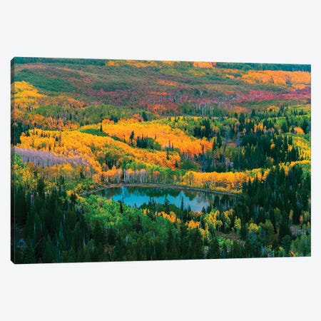 Fall Of The Wasatch Canvas Print #DLF96} by Dustin LeFevre Canvas Art Print