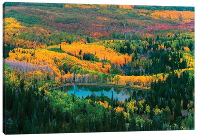 Fall Of The Wasatch Canvas Art Print - Dustin LeFevre