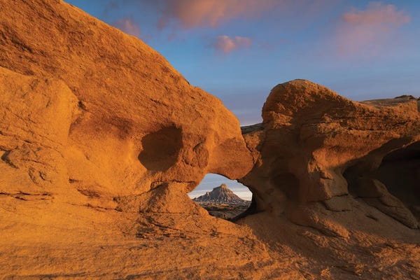 Desert Solitary