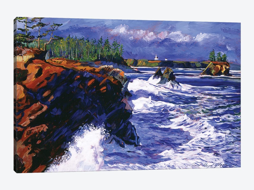 Jagged Coastline by David Lloyd Glover 1-piece Canvas Art