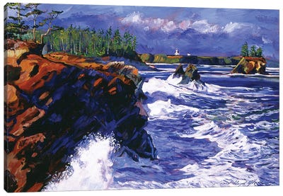 Jagged Coastline Canvas Art Print - David Lloyd Glover
