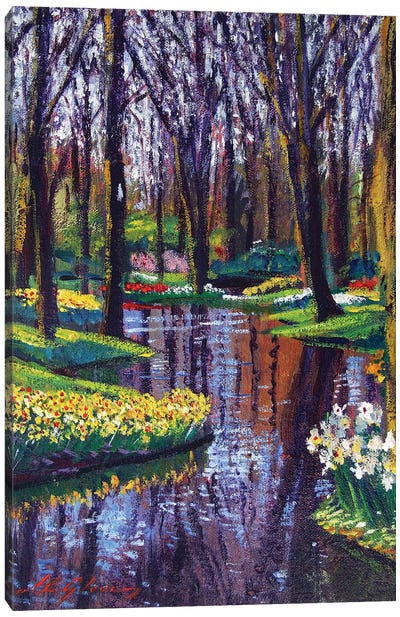Keukenhof Park In Spring Canvas Art Print - David Lloyd Glover