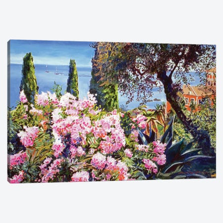 Mediterranean Gardens Canvas Print #DLG110} by David Lloyd Glover Canvas Print
