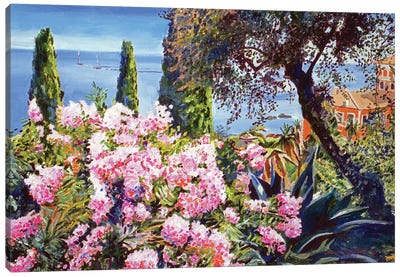 Mediterranean Gardens Canvas Art Print - David Lloyd Glover