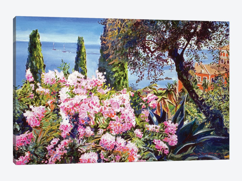 Mediterranean Gardens by David Lloyd Glover 1-piece Canvas Art Print