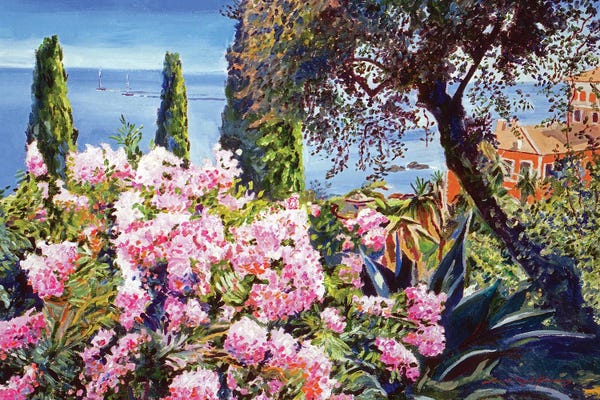 David Lloyd Glover: Mediterranean Gardens by David Lloyd Glover