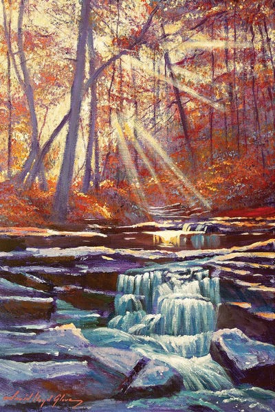 Moment Of Calm by David Lloyd Glover canvas print