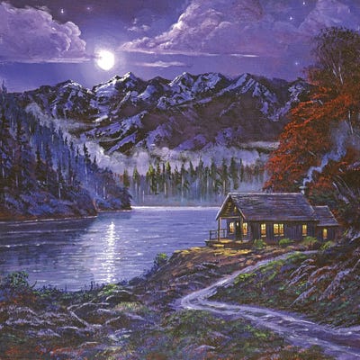 Moonshadow Reflections by David Lloyd Glover framed wall art