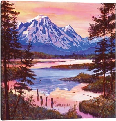 Mountain Lakeshore At First Light Canvas Art Print - David Lloyd Glover