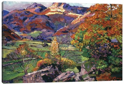 Mountain Valley Meadows Canvas Art Print - Valley Art