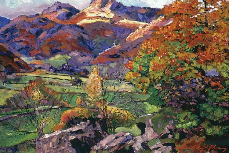 Mountain Valley Meadows by David Lloyd Glover wall art