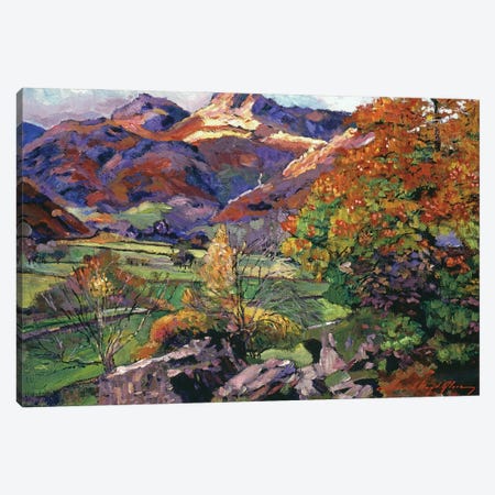Mountain Valley Meadows Canvas Print #DLG116} by David Lloyd Glover Canvas Wall Art