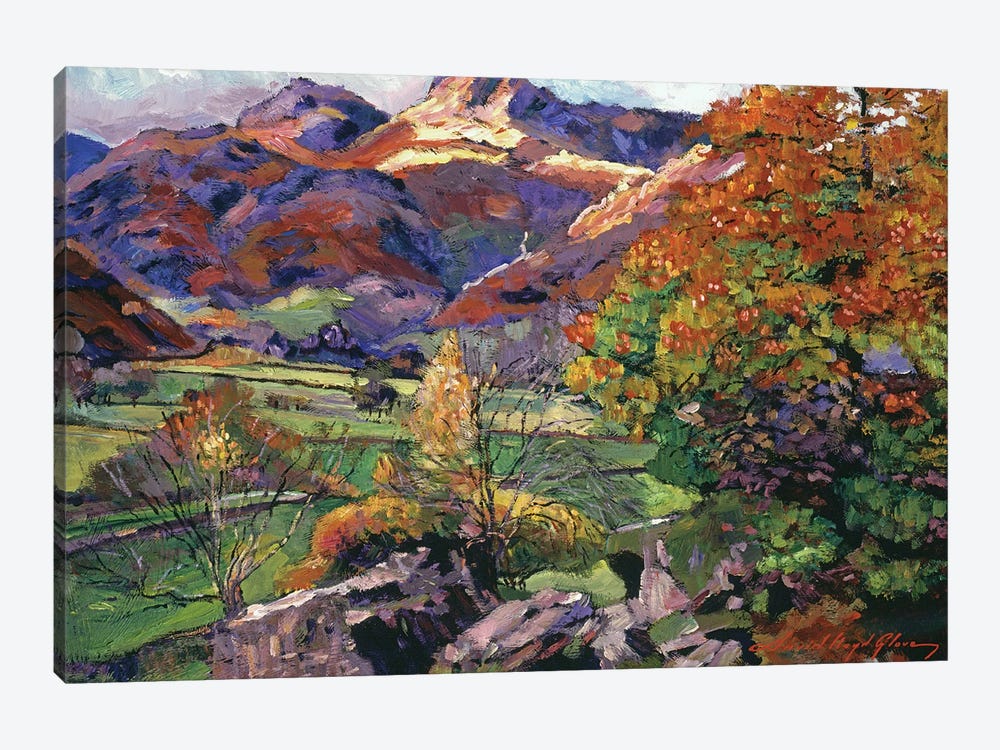 Mountain Valley Meadows by David Lloyd Glover 1-piece Canvas Art Print