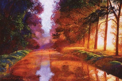 Mystery Lane by David Lloyd Glover framed wall art