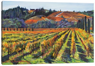Napa Cabernet Harvest Canvas Art Print - Vineyard Art