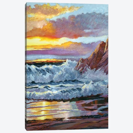 Northern California Coast Canvas Print #DLG122} by David Lloyd Glover Canvas Wall Art