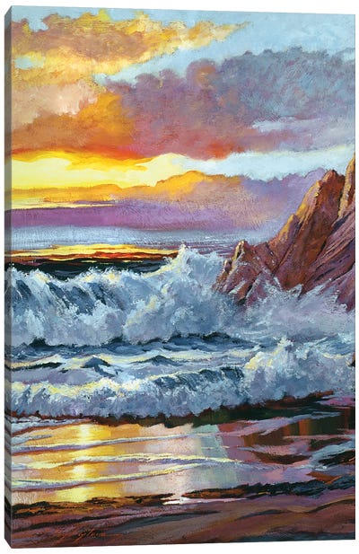 Northern California Coast Canvas Art Print - David Lloyd Glover