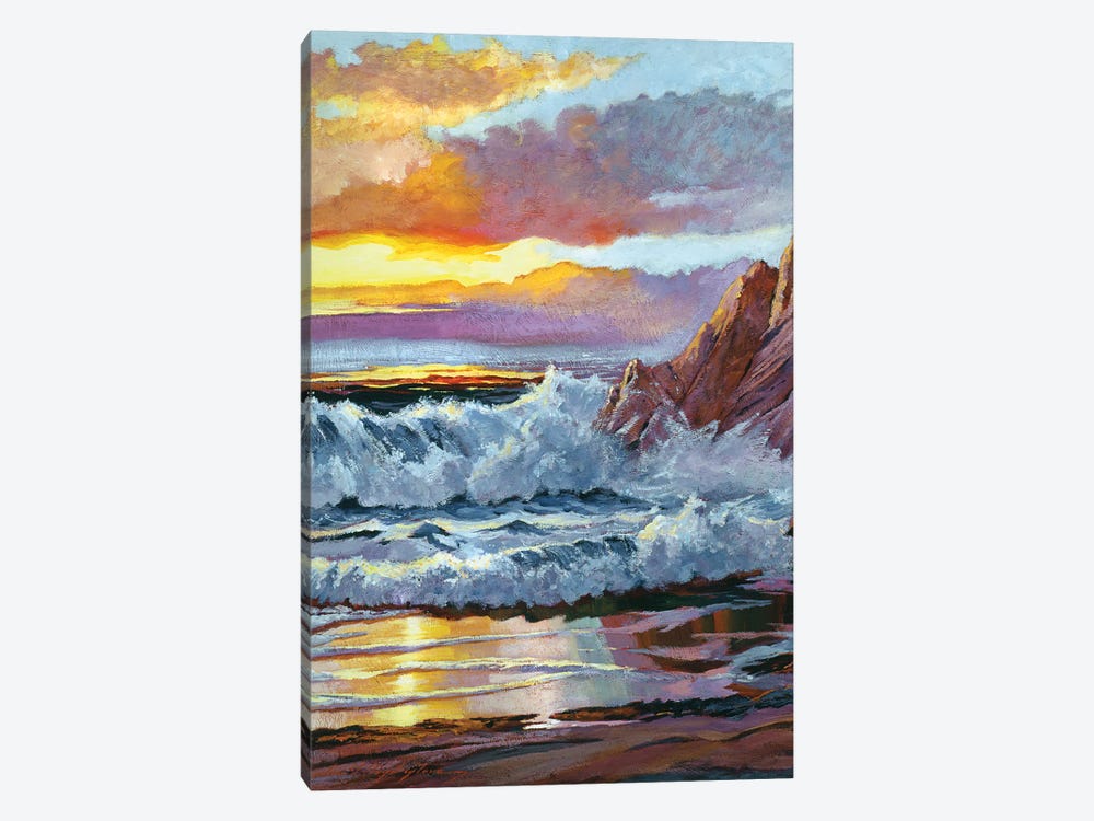Northern California Coast by David Lloyd Glover 1-piece Canvas Art