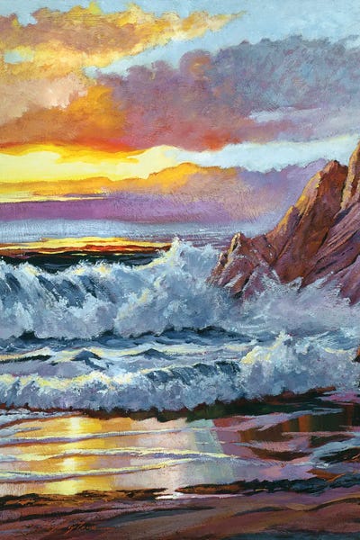 David Lloyd Glover: Northern California Coast by David Lloyd Glover