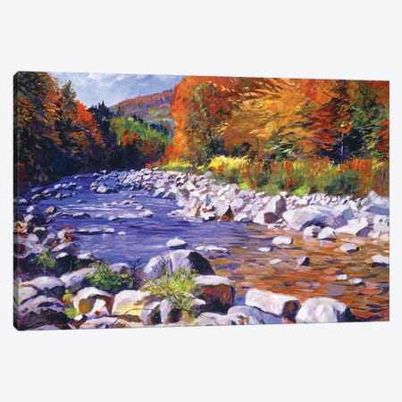 October River Run Canvas Print #DLG126} by David Lloyd Glover Canvas Art Print
