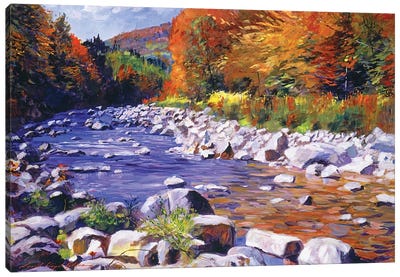 October River Run Canvas Art Print - David Lloyd Glover