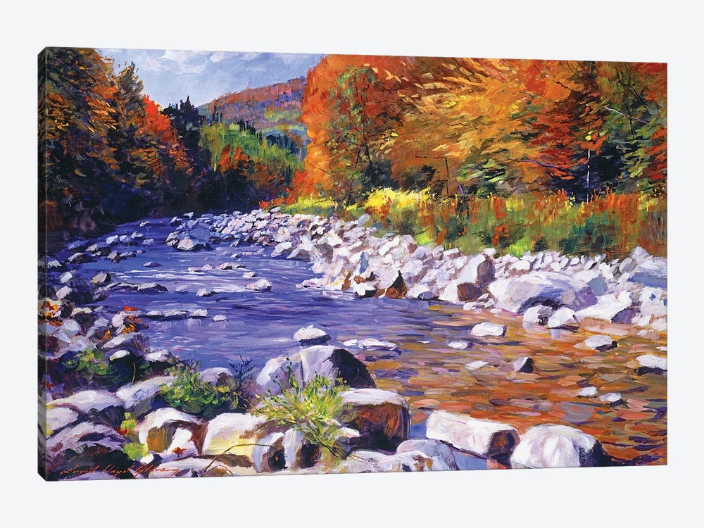 October River Run by David Lloyd Glover 1-piece Canvas Artwork