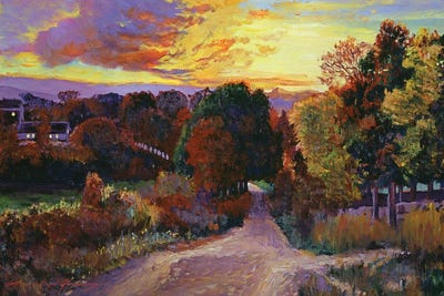 On The Road Home by David Lloyd Glover framed wall art