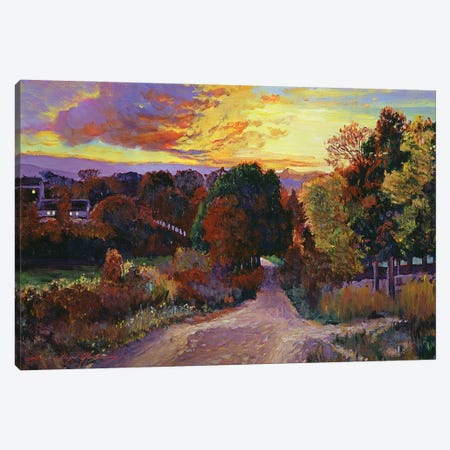 On The Road Home Canvas Print #DLG130} by David Lloyd Glover Canvas Art Print
