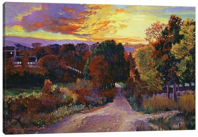 On The Road Home Canvas Art Print - David Lloyd Glover