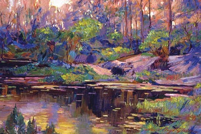 Pastel Lake At Dawn by David Lloyd Glover framed wall art