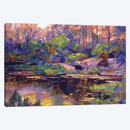 Pastel Lake At Dawn Canvas Print #DLG133} by David Lloyd Glover Canvas Print