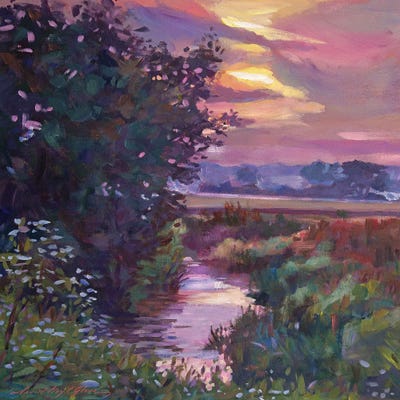 Sunrise Creek by David Lloyd Glover canvas print