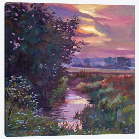 Sunrise Creek Canvas Print #DLG134} by David Lloyd Glover Canvas Art