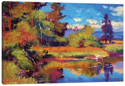 Pastoral Pond Canvas Art Print - David Lloyd Glover