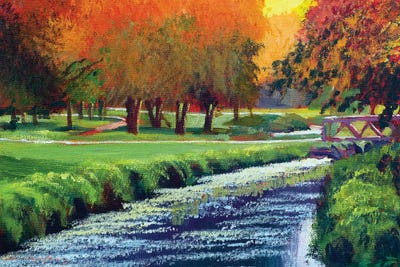 Path To The Footbridge by David Lloyd Glover framed wall art