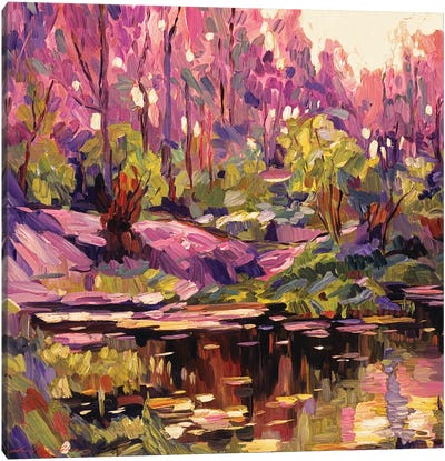 Pond At Sunset Plein Aire Canvas Art Print - David Lloyd Glover