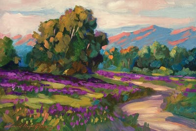 Purple Hills Of California by David Lloyd Glover framed wall art