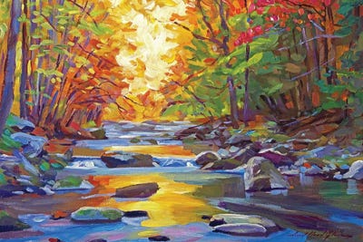 Gentle Stream by David Lloyd Glover canvas print