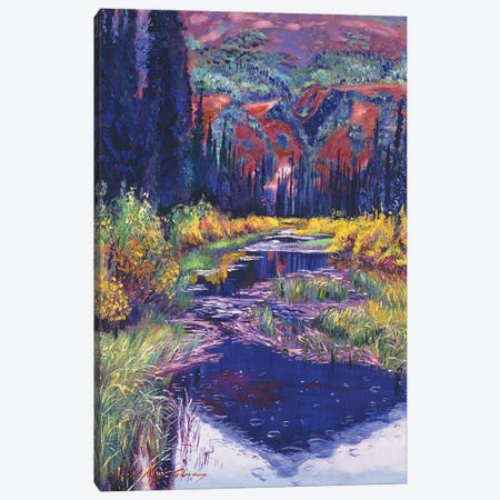 Raindrop Pond Canvas Print #DLG145} by David Lloyd Glover Canvas Print
