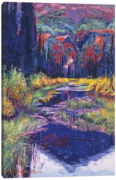 Raindrop Pond Canvas Art Print - David Lloyd Glover